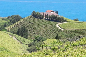 Private Tour of the Basque Coast and Countryside