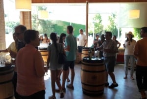 Rioja: Private Wine Tasting Tour