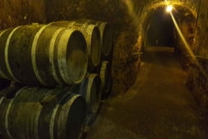 Rioja: Private Wine Tasting Tour