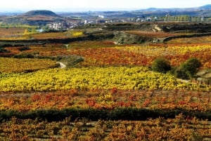 Rioja: Private Wine Tasting Tour