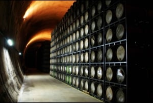 Rioja: Private Wine Tasting Tour