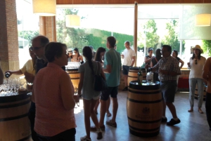 Rioja: Private Wine Tasting Tour