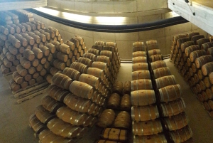 Rioja: Private Wine Tasting Tour