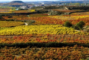 Rioja: Private Wine Tasting Tour