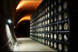 Rioja: Private Wine Tasting Tour