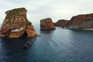 Сен-Жан-де-Люз, Страна Басков: прогулка на лодке по побережью