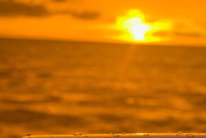 San Sebastian: 2 Bays Kvälls- eller solnedgångsbåttur med Cava