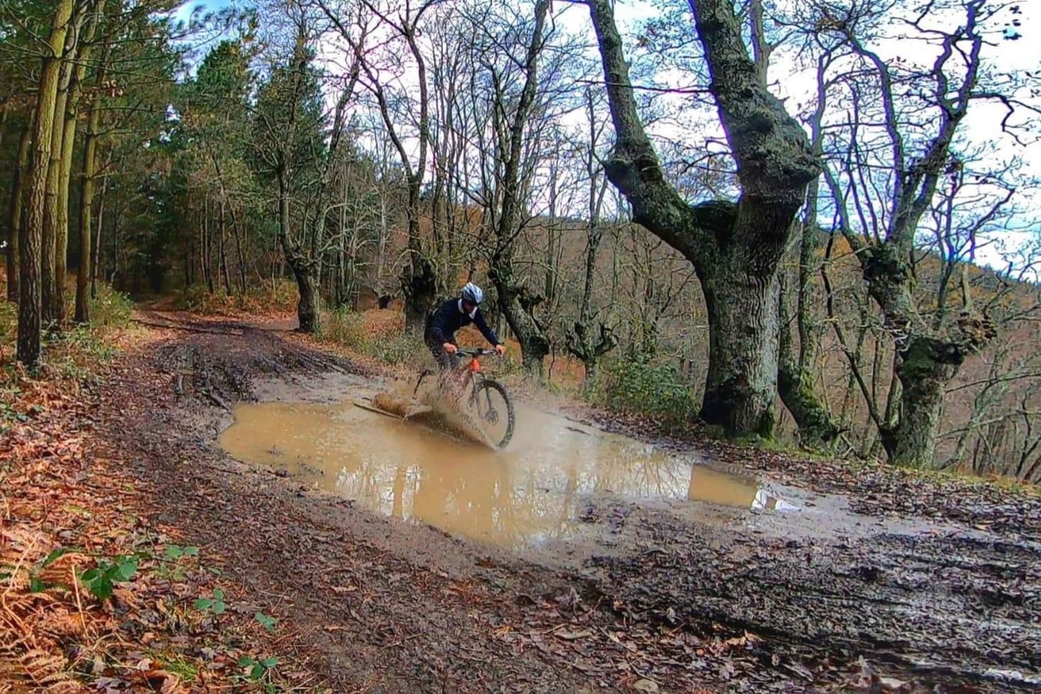 San Sebastián: Udforskning af Baskerlandet på mountainbike