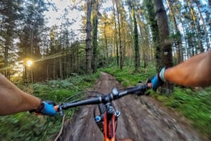 San Sebastián: Udforskning af Baskerlandet på mountainbike