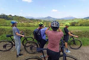 San Sebastián: Udforskning af Baskerlandet på mountainbike