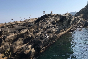 San Sebastian: Båttur med stopp vid Santa Clara