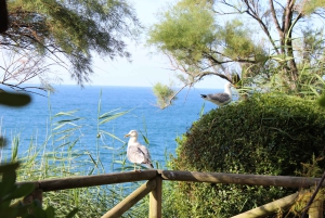 San Sebastian: Båttur med stopp vid Santa Clara