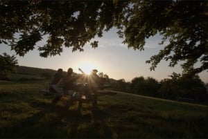 San Sebastian: Kust-, skaldjurs- och vintur