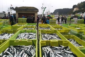 San Sebastian: Kust-, skaldjurs- och vintur