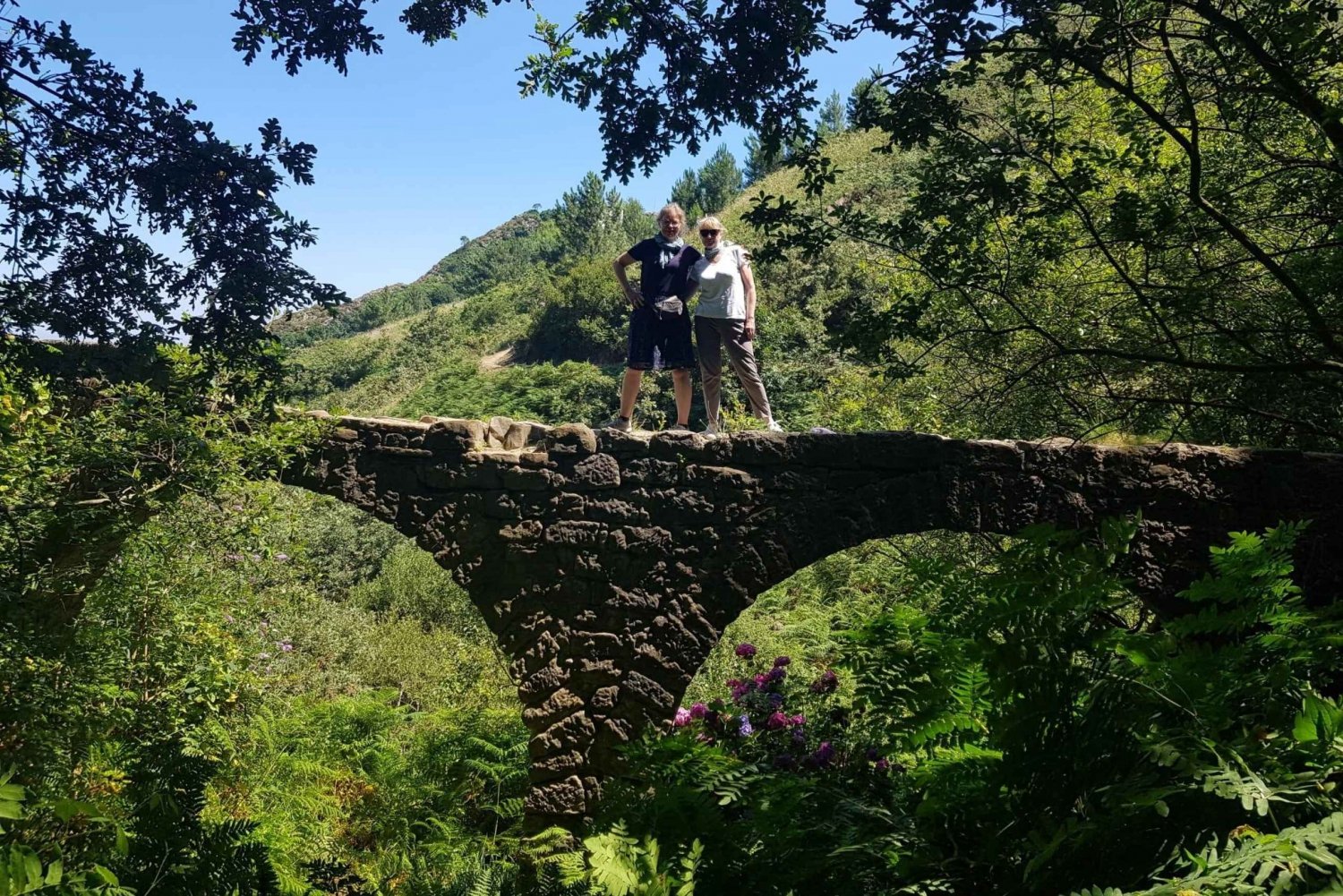 San Sebastián: Hike in the North Way of Saint James