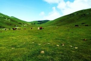 San Sebastián: Escursione nel cuore dei Paesi Baschi