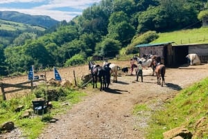 San Sebastian: Horseback Riding & Traditional Delights