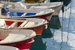 San Sebastian: Katamarantur med panoramaudsigt over bugten og kysten