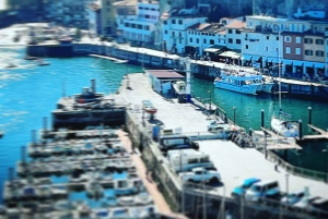 San Sebastian: Katamarantur med panoramaudsigt over bugten og kysten