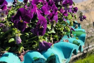 San Sebastián: Privat tur från Pamplona