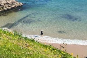 San Sebastián: Privat tur från Pamplona