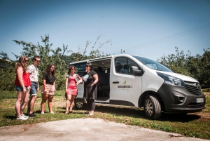 San Sebastián: Traditional Cider House Tour with Lunch