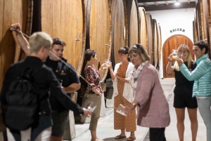 San Sebastián: Traditional Cider House Tour with Lunch