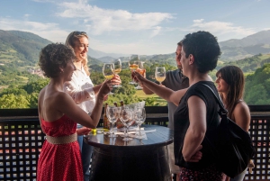 San Sebastián: Traditional Cider House Tour with Lunch