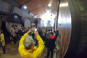 Сан-Себастьян: уникальный и увлекательный тур по культуре баскского сидра