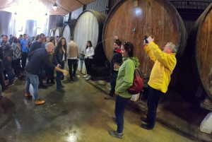 Сан-Себастьян: уникальный и увлекательный тур по культуре баскского сидра