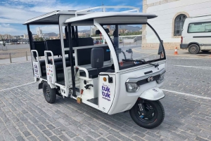 Tuk tuk-tur i Málaga