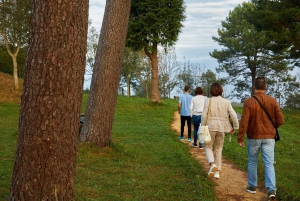 Zarautz, Getaria i Zumaia z San Sebastian
