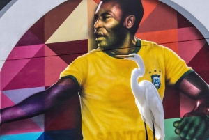 Excursion de 10 heures à la plage Santos : Partagée avec les billets et le déjeuner