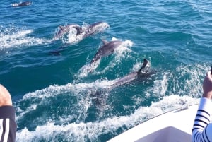 Algarve: Gita in barca alle grotte di Benagil