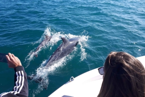 Algarve: Gita in barca alle grotte di Benagil