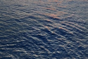 Algarve: Gita in barca alle grotte di Benagil