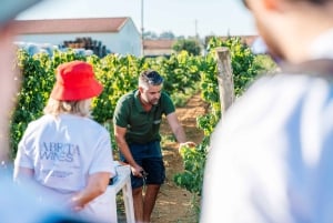 Algarve: Klassisk vintur og vinsmagning i Silves