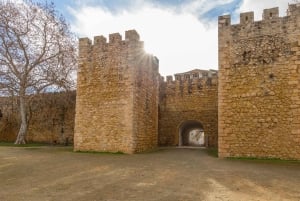 Algarve: Lagos og Cabo Sao Vicente guidet tur