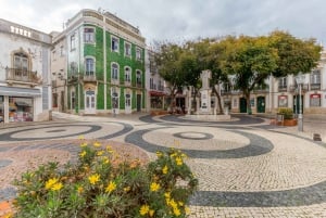 Algarve: Lagos og Cabo Sao Vicente guidet tur