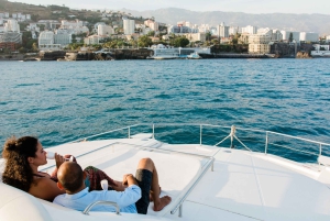 Luksustur med hval- og delfinsafari med alt inklusive