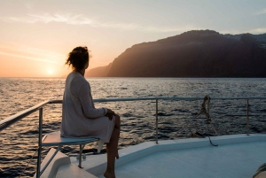 Luksustur med hval- og delfinsafari med alt inklusive