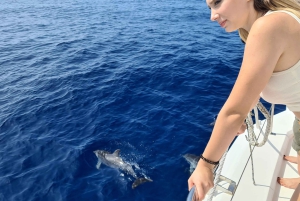 Luksustur med hval- og delfinsafari med alt inklusive