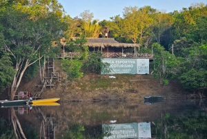 Manaus: 2, 3, or 4-Day Tour