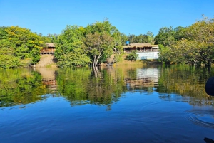 Manaus: 2, 3, or 4-Day Tour