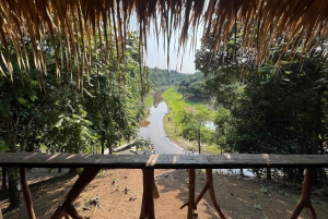 Manaus: 2, 3, or 4-Day Tour