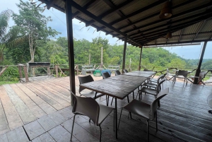 Manaus: 2, 3, or 4-Day Tour