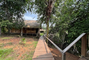 Manaus: 2, 3, or 4-Day Tour