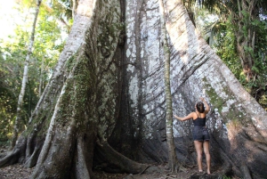 Manaus: 2, 3, or 4-Day Tour