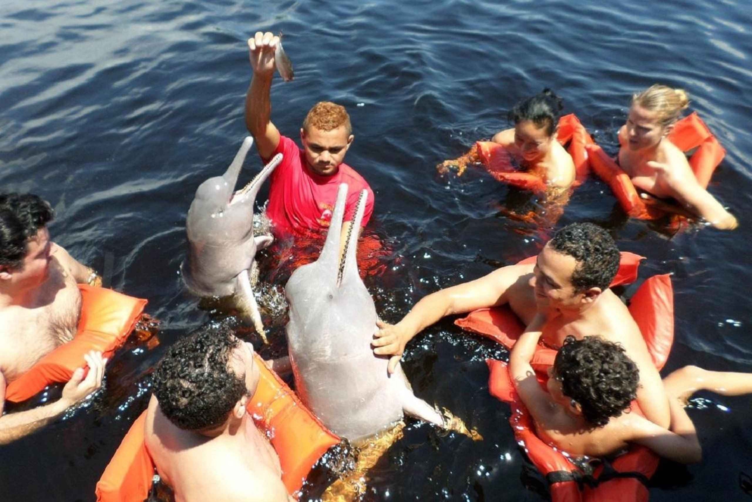 Safari Amazonas® Manaus: Excursión de un día por el río Amazonas