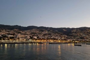 Audio Guide Citywalk Funchal for Cruise Guests